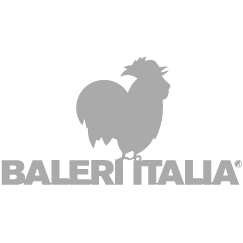baleri logo